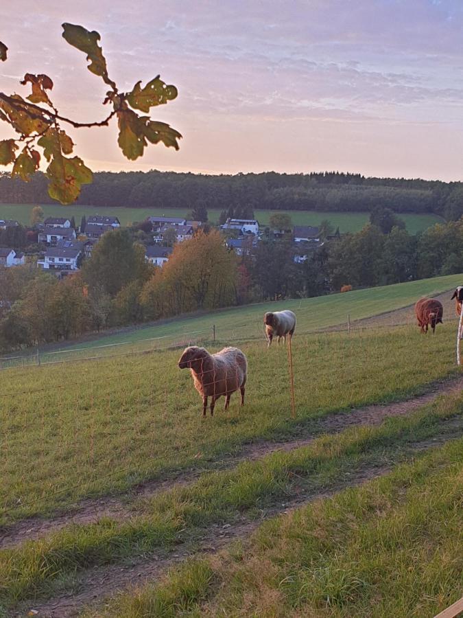 Andinas Ferienwohnung In Ruhiger Lage Direkt Am Wald Wilnsdorf Zewnętrze zdjęcie