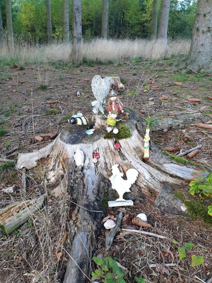 Andinas Ferienwohnung In Ruhiger Lage Direkt Am Wald Wilnsdorf Zewnętrze zdjęcie
